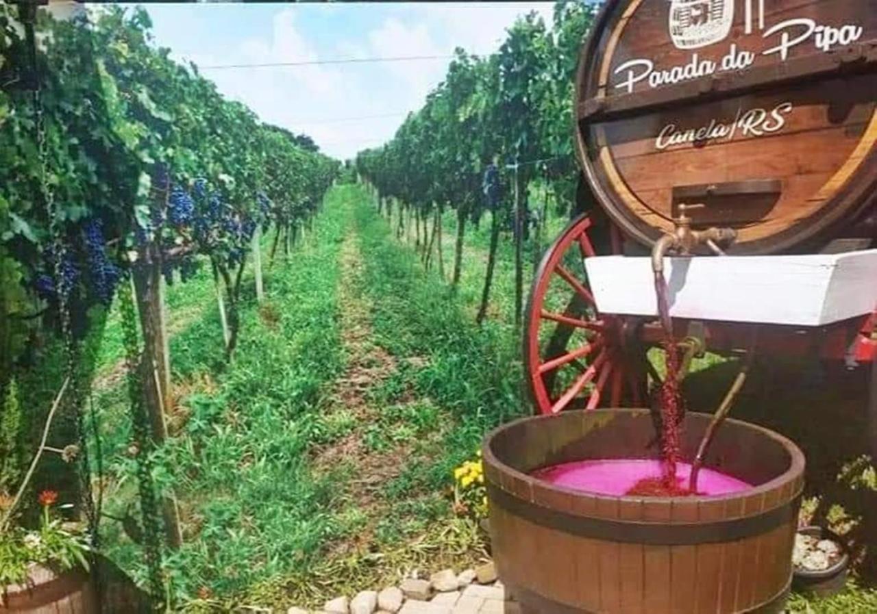 Chale Tematico Em Pipa De Vinho - Parada Da Pipa Chales Canela Exteriér fotografie
