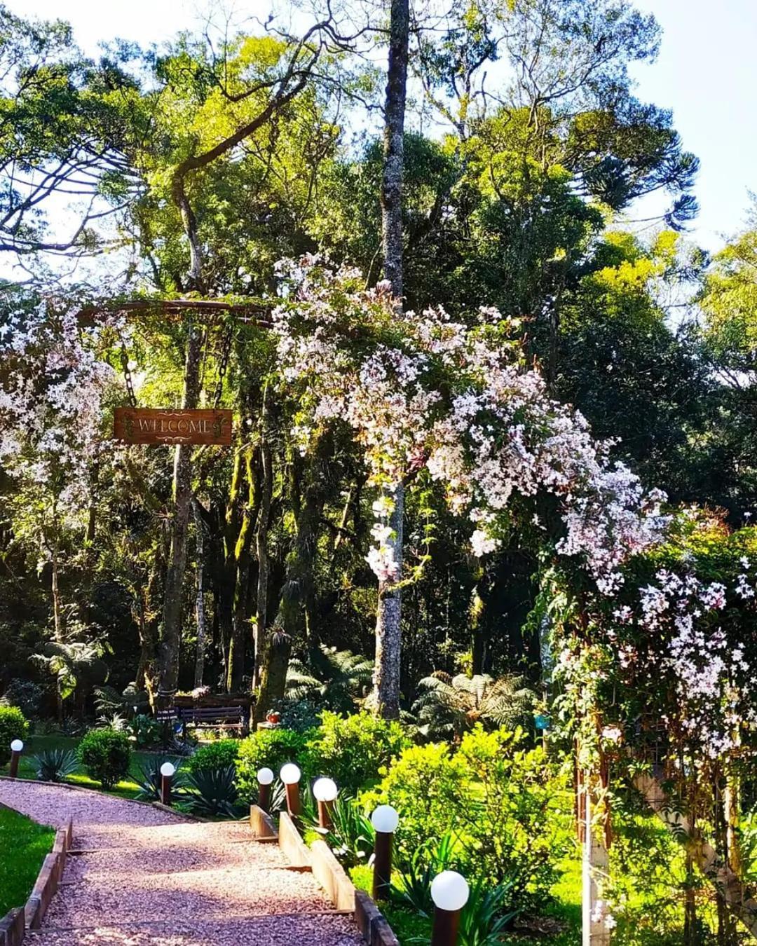 Chale Tematico Em Pipa De Vinho - Parada Da Pipa Chales Canela Exteriér fotografie