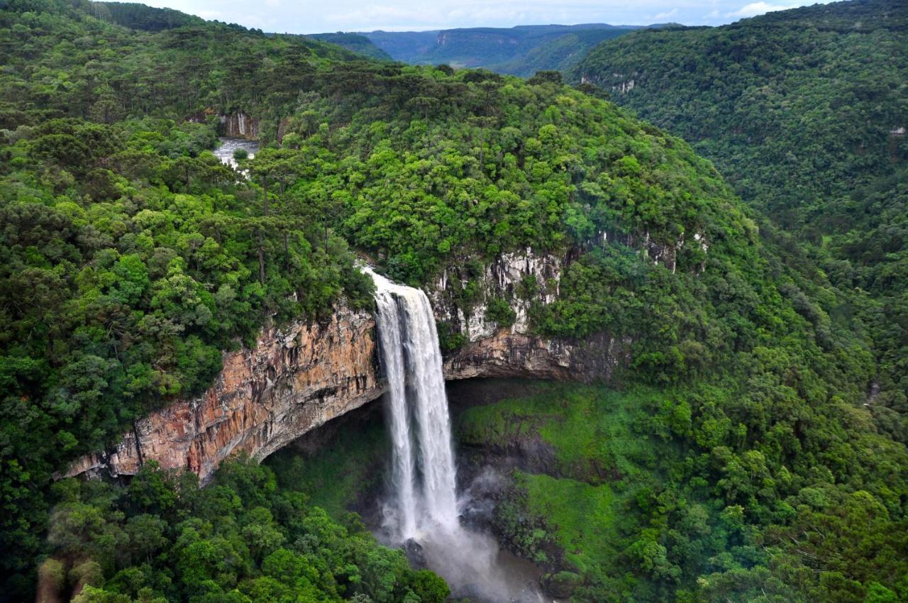 Chale Tematico Em Pipa De Vinho - Parada Da Pipa Chales Canela Exteriér fotografie